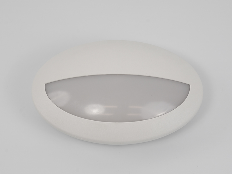 CL-A1 Ceiling Light