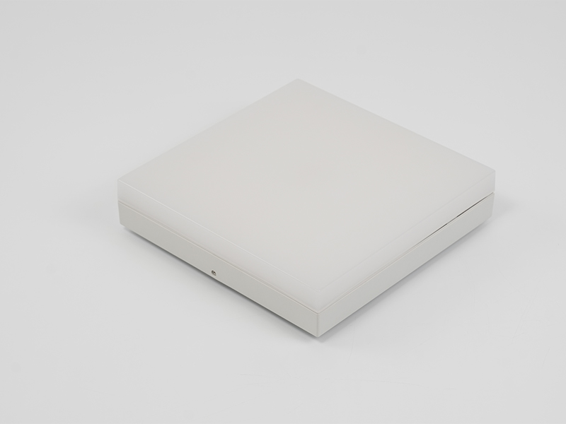 CL-R Ceiling Light