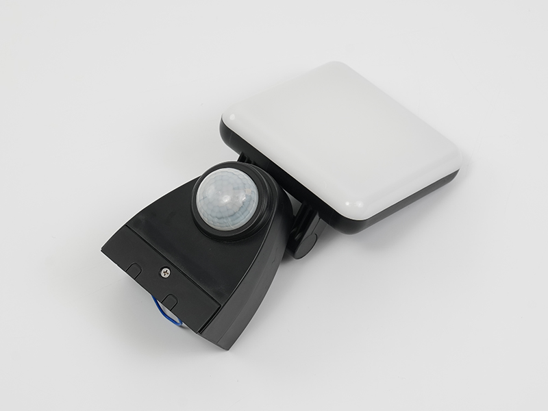 WL-C Wall Light