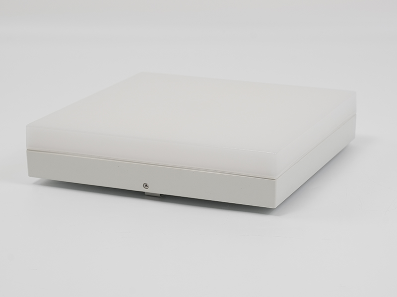 CL-R Ceiling Light
